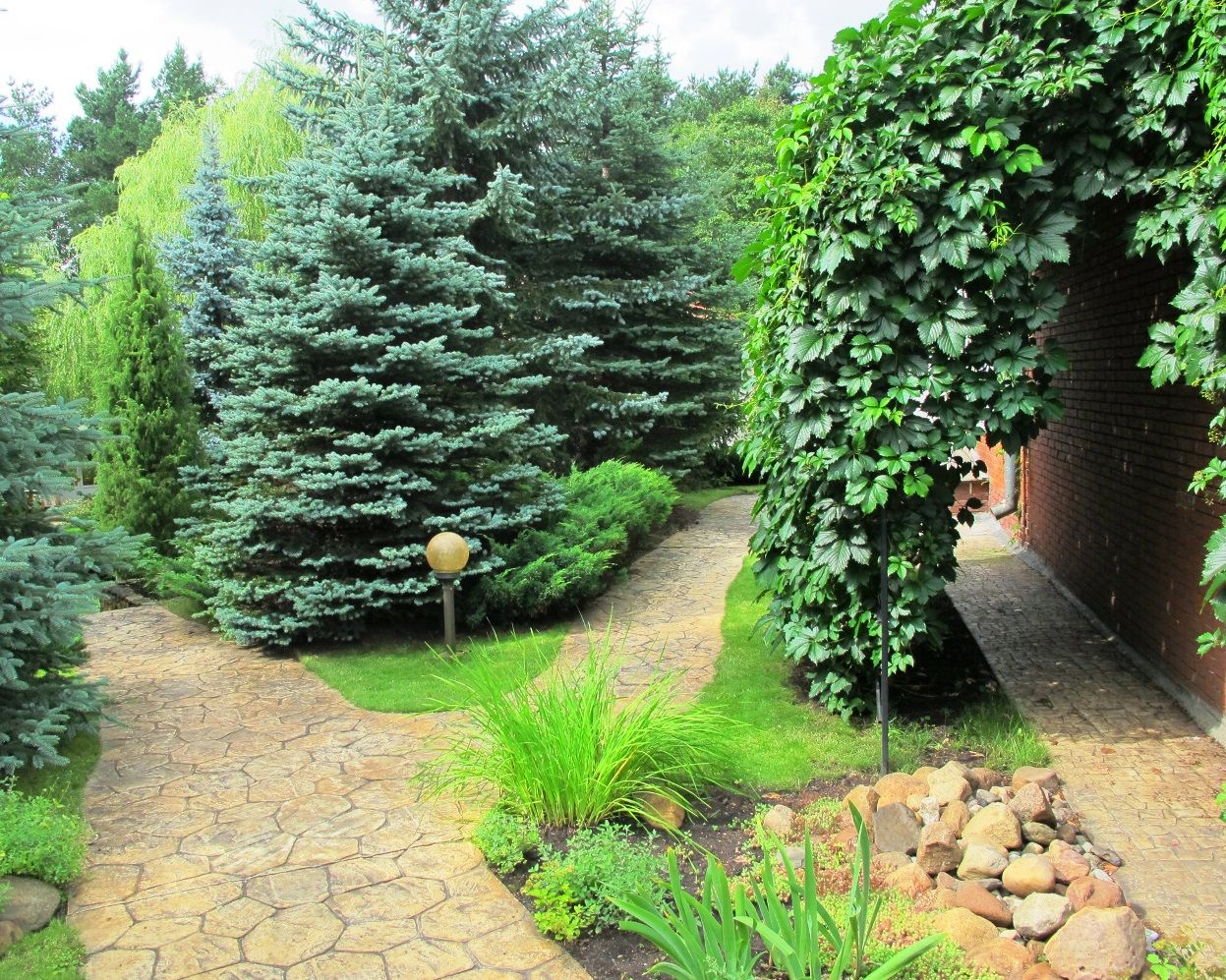 Ливадия на Истре